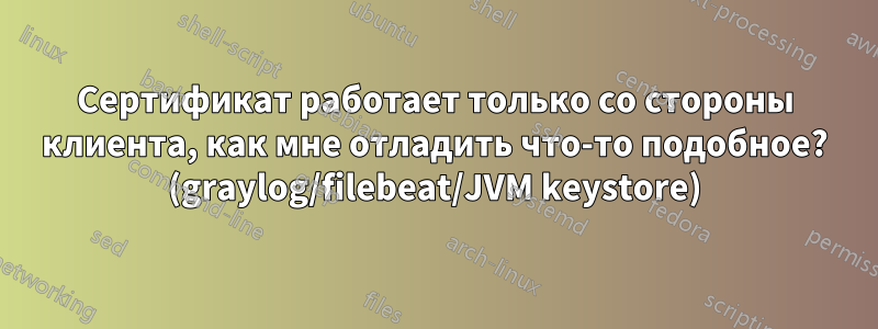 Сертификат работает только со стороны клиента, как мне отладить что-то подобное? (graylog/filebeat/JVM keystore)