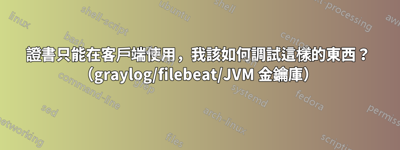 證書只能在客戶端使用，我該如何調試這樣的東西？ （graylog/filebeat/JVM 金鑰庫）