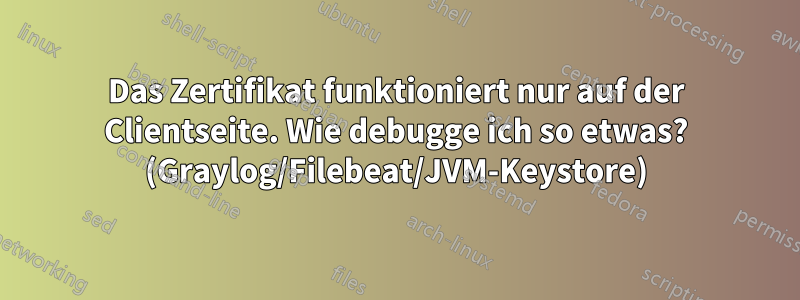 Das Zertifikat funktioniert nur auf der Clientseite. Wie debugge ich so etwas? (Graylog/Filebeat/JVM-Keystore)