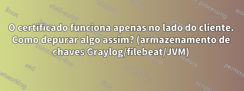 O certificado funciona apenas no lado do cliente. Como depurar algo assim? (armazenamento de chaves Graylog/filebeat/JVM)