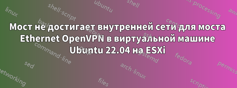 Мост не достигает внутренней сети для моста Ethernet OpenVPN в виртуальной машине Ubuntu 22.04 на ESXi