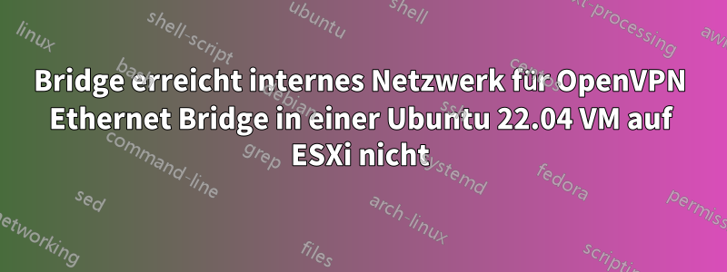Bridge erreicht internes Netzwerk für OpenVPN Ethernet Bridge in einer Ubuntu 22.04 VM auf ESXi nicht