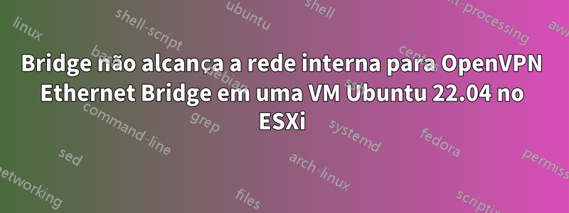 Bridge não alcança a rede interna para OpenVPN Ethernet Bridge em uma VM Ubuntu 22.04 no ESXi