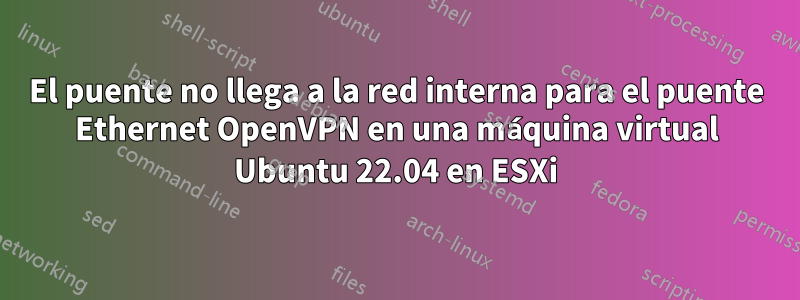 El puente no llega a la red interna para el puente Ethernet OpenVPN en una máquina virtual Ubuntu 22.04 en ESXi