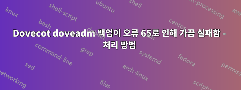 Dovecot doveadm 백업이 오류 65로 인해 가끔 실패함 - 처리 방법