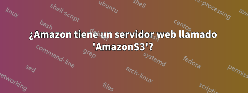 ¿Amazon tiene un servidor web llamado 'AmazonS3'?