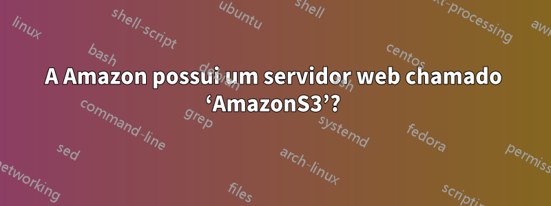 A Amazon possui um servidor web chamado ‘AmazonS3’?