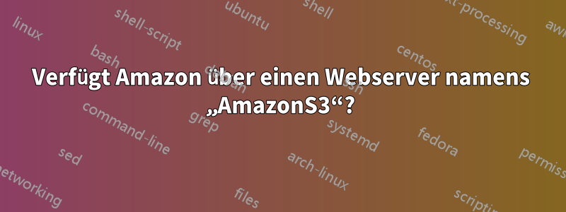 Verfügt Amazon über einen Webserver namens „AmazonS3“?