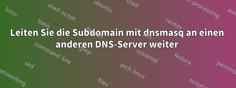 Leiten Sie die Subdomain mit dnsmasq an einen anderen DNS-Server weiter