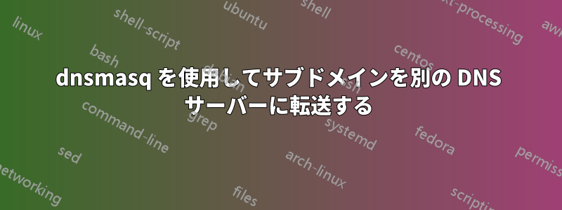 dnsmasq を使用してサブドメインを別の DNS サーバーに転送する