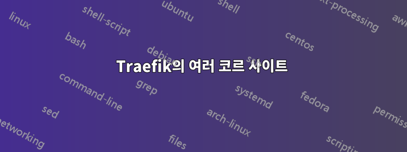 Traefik의 여러 코르 사이트