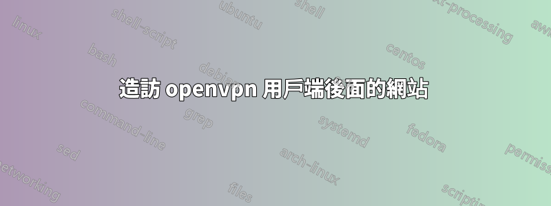 造訪 openvpn 用戶端後面的網站