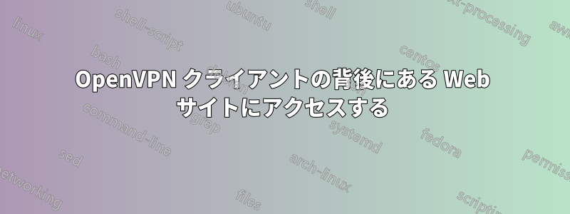 OpenVPN クライアントの背後にある Web サイトにアクセスする