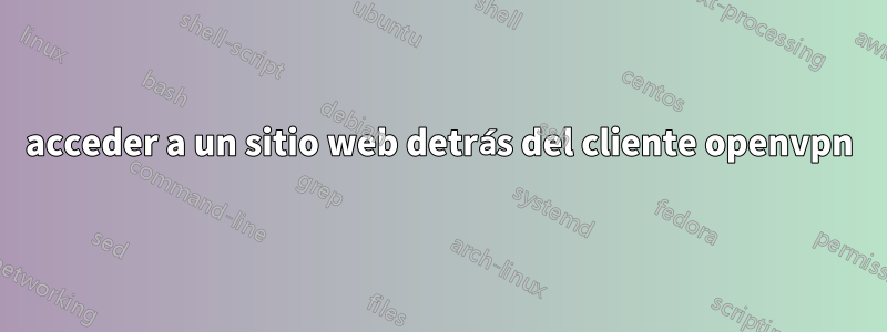 acceder a un sitio web detrás del cliente openvpn