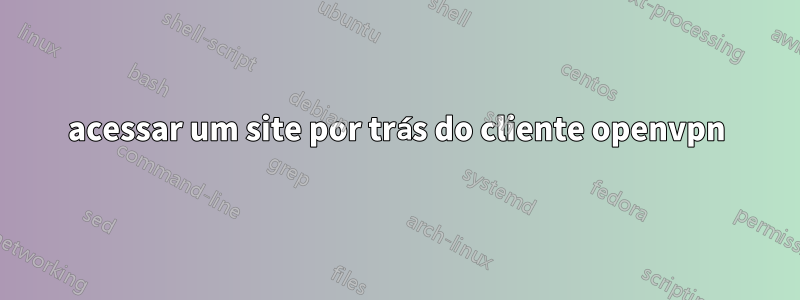 acessar um site por trás do cliente openvpn