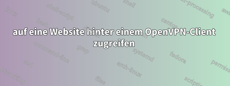 auf eine Website hinter einem OpenVPN-Client zugreifen