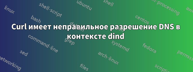 Curl имеет неправильное разрешение DNS в контексте dind