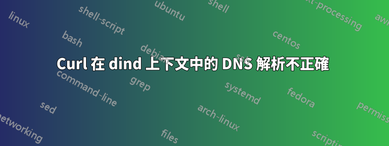 Curl 在 dind 上下文中的 DNS 解析不正確