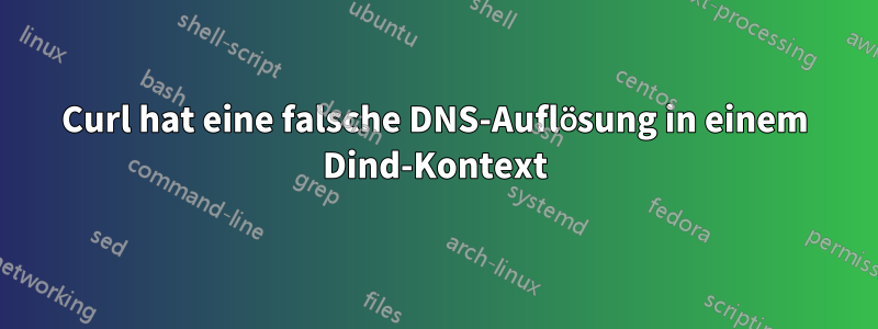 Curl hat eine falsche DNS-Auflösung in einem Dind-Kontext