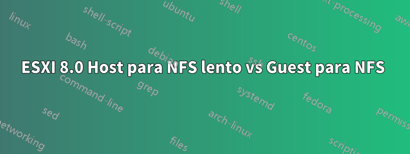 ESXI 8.0 Host para NFS lento vs Guest para NFS