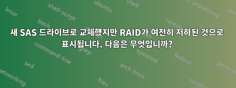 새 SAS 드라이브로 교체했지만 RAID가 여전히 저하된 것으로 표시됩니다. 다음은 무엇입니까?