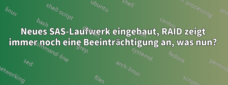 Neues SAS-Laufwerk eingebaut, RAID zeigt immer noch eine Beeinträchtigung an, was nun?