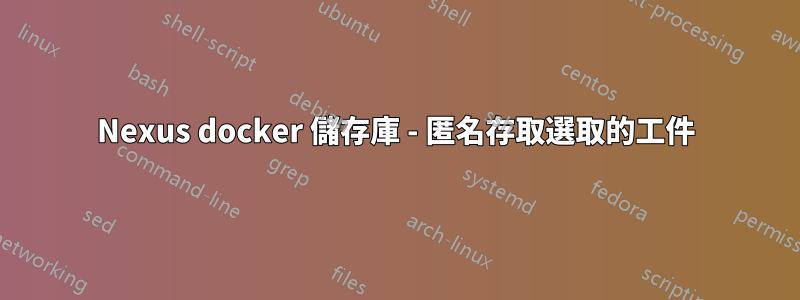 Nexus docker 儲存庫 - 匿名存取選取的工件