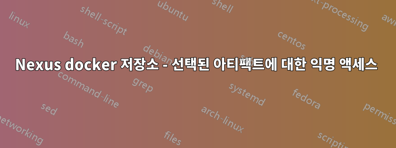 Nexus docker 저장소 - 선택된 아티팩트에 대한 익명 액세스