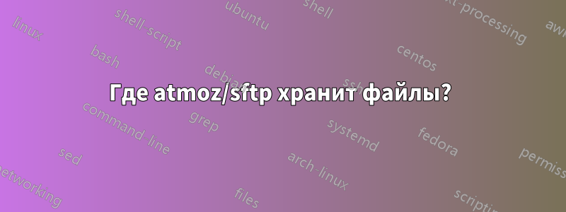 Где atmoz/sftp хранит файлы?