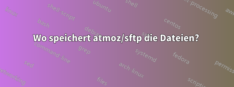 Wo speichert atmoz/sftp die Dateien?