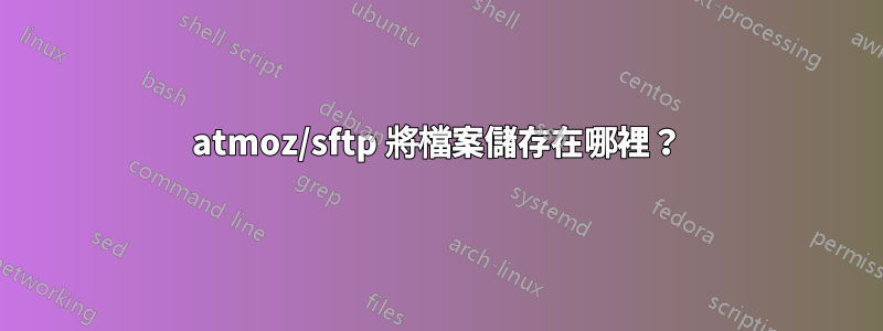 atmoz/sftp 將檔案儲存在哪裡？