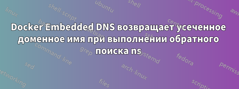 Docker Embedded DNS возвращает усеченное доменное имя при выполнении обратного поиска ns