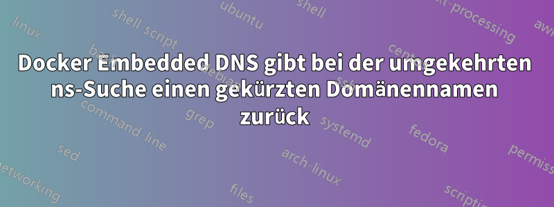 Docker Embedded DNS gibt bei der umgekehrten ns-Suche einen gekürzten Domänennamen zurück