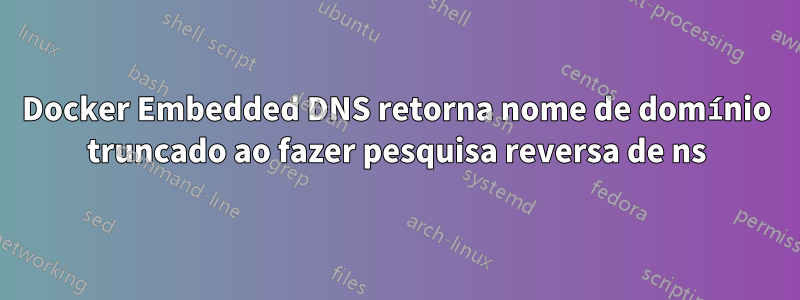 Docker Embedded DNS retorna nome de domínio truncado ao fazer pesquisa reversa de ns