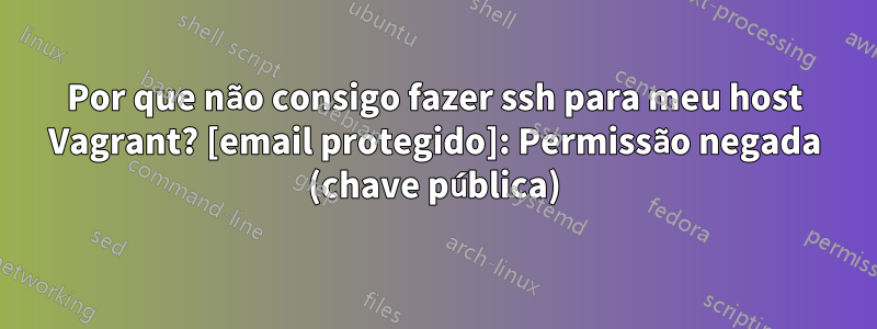 Por que não consigo fazer ssh para meu host Vagrant? [email protegido]: Permissão negada (chave pública)