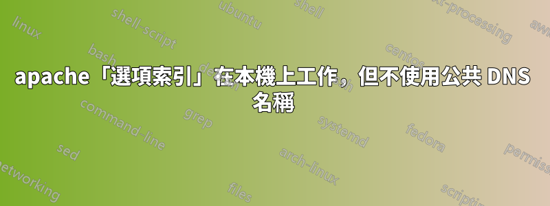 apache「選項索引」在本機上工作，但不使用公共 DNS 名稱