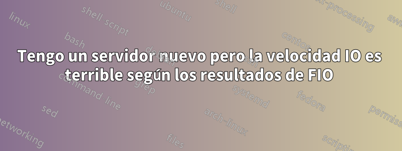 Tengo un servidor nuevo pero la velocidad IO es terrible según los resultados de FIO