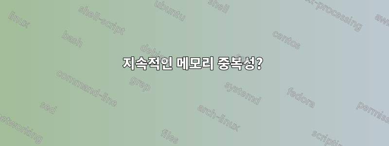 지속적인 메모리 중복성?