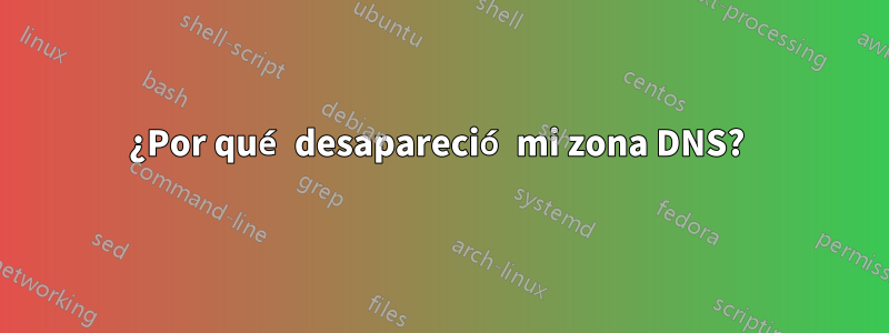 ¿Por qué desapareció mi zona DNS? 