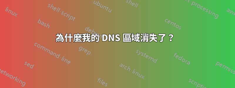 為什麼我的 DNS 區域消失了？ 