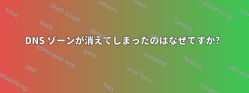 DNS ゾーンが消えてしまったのはなぜですか? 