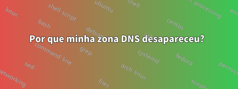 Por que minha zona DNS desapareceu? 