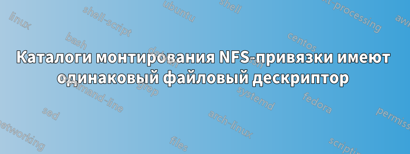Каталоги монтирования NFS-привязки имеют одинаковый файловый дескриптор