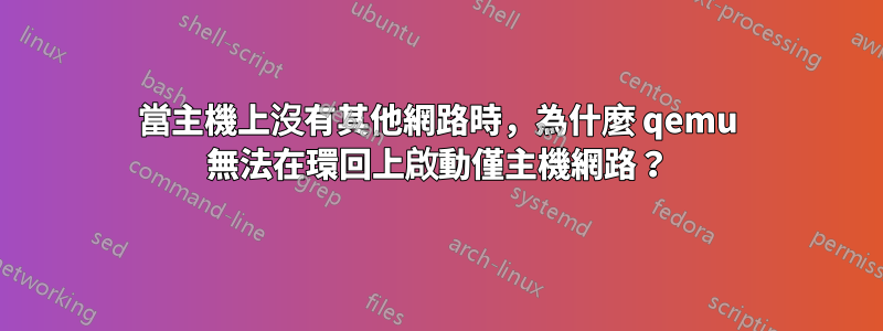 當主機上沒有其他網路時,為什麼 qemu 無法在環回上啟動僅主機網路?