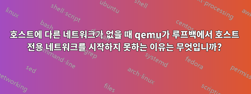 호스트에 다른 네트워크가 없을 때 qemu가 루프백에서 호스트 전용 네트워크를 시작하지 못하는 이유는 무엇입니까?