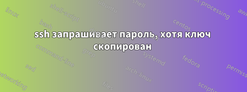ssh запрашивает пароль, хотя ключ скопирован