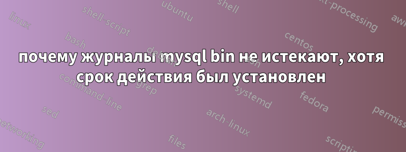 почему журналы mysql bin не истекают, хотя срок действия был установлен