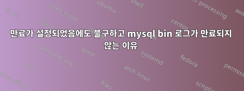 만료가 설정되었음에도 불구하고 mysql bin 로그가 만료되지 않는 이유