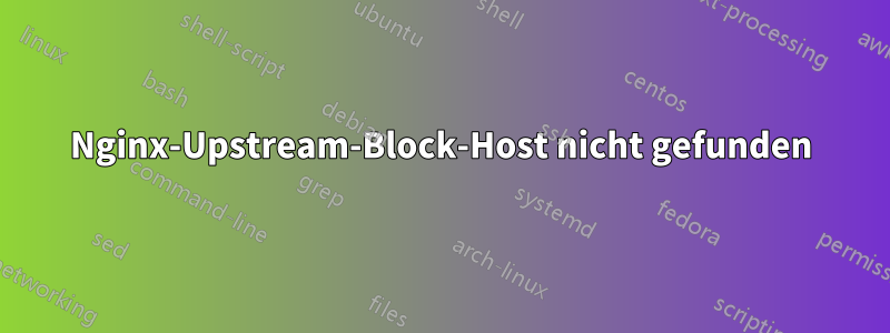 Nginx-Upstream-Block-Host nicht gefunden
