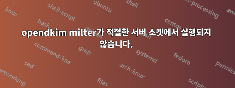 opendkim milter가 적절한 서버 소켓에서 실행되지 않습니다.